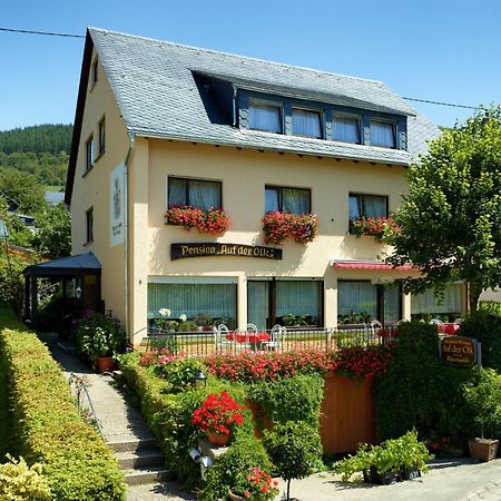 Pension Auf Der Olk Mit Roepertsmuehle Veldenz Zewnętrze zdjęcie