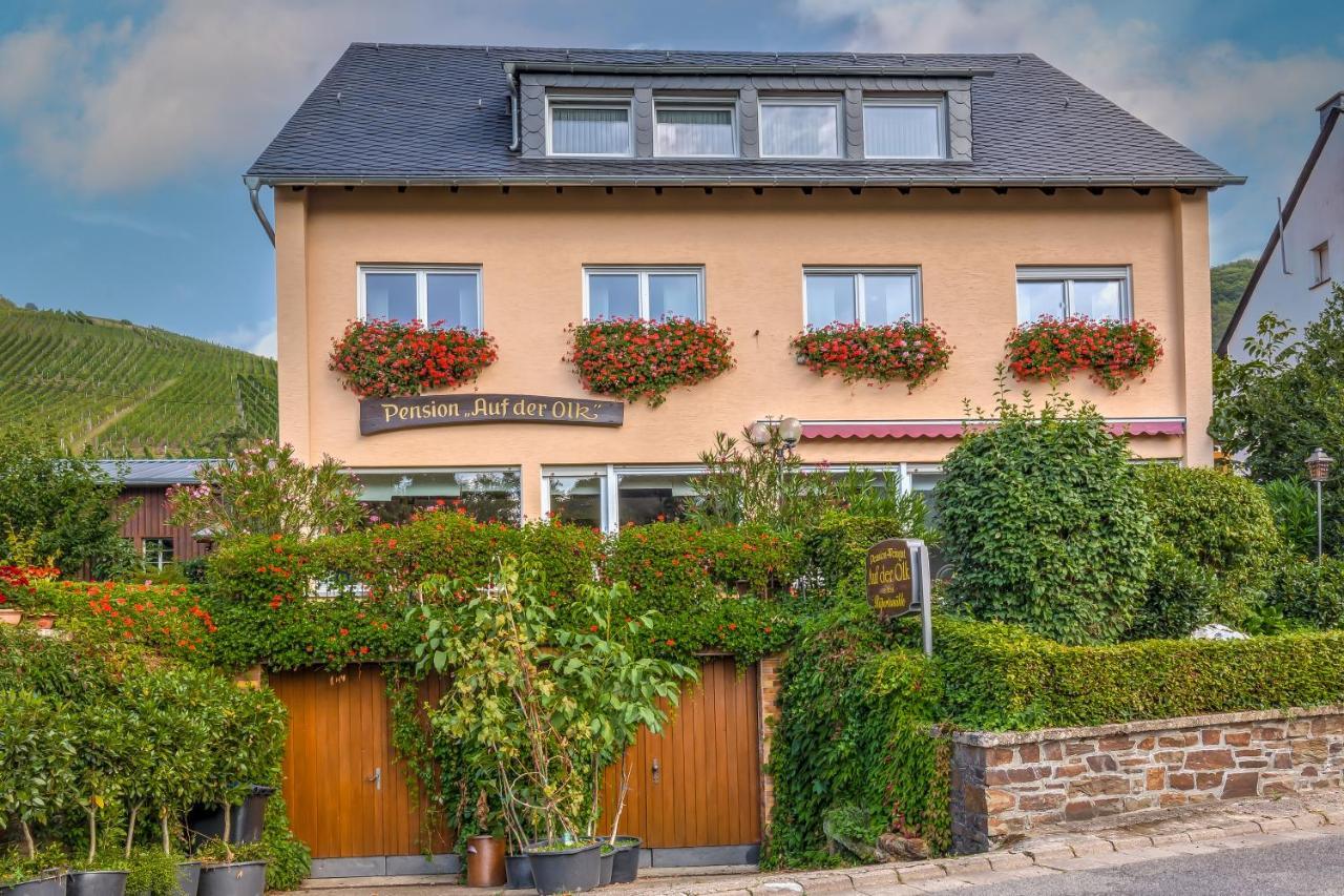Pension Auf Der Olk Mit Roepertsmuehle Veldenz Zewnętrze zdjęcie