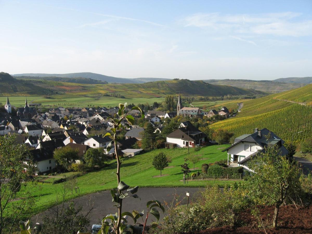 Pension Auf Der Olk Mit Roepertsmuehle Veldenz Zewnętrze zdjęcie