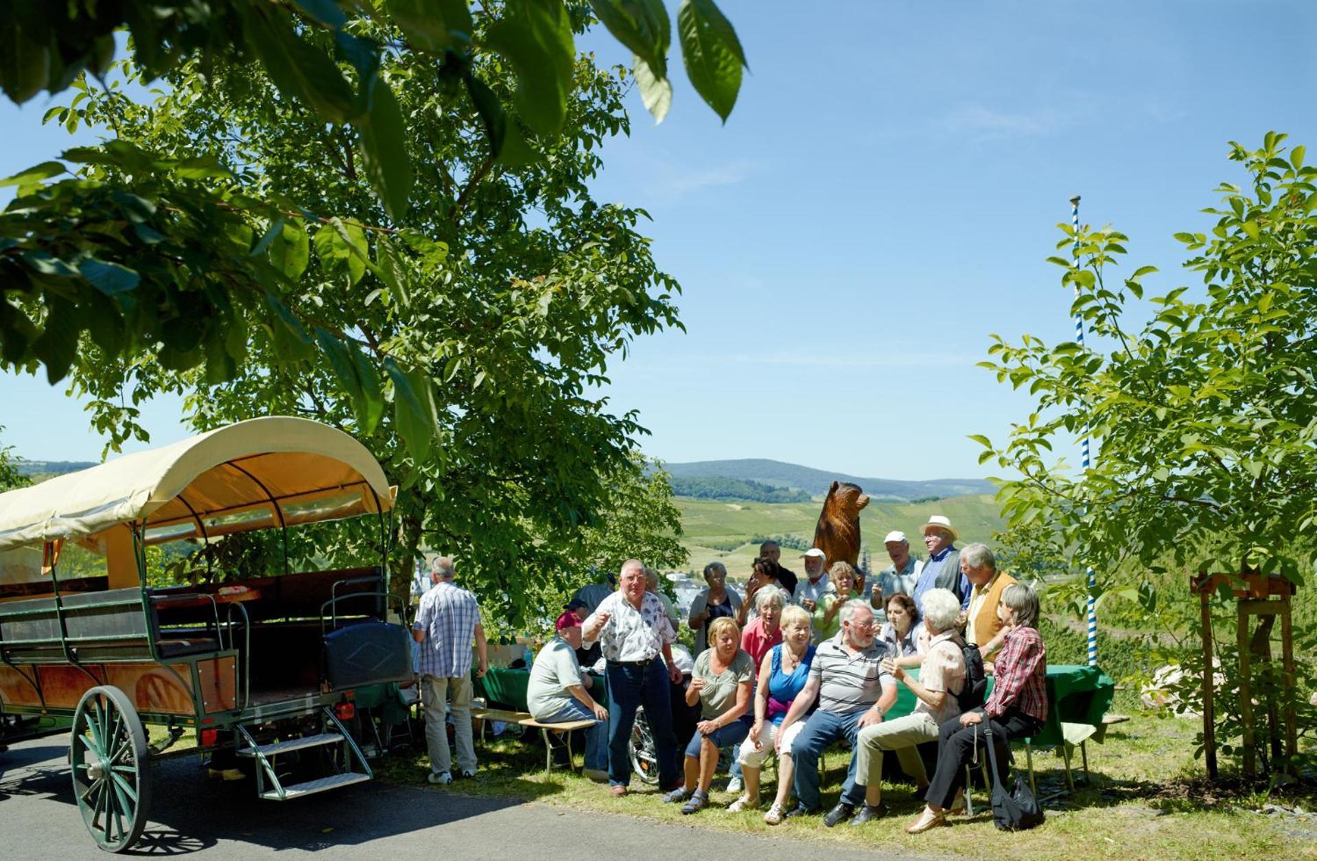 Pension Auf Der Olk Mit Roepertsmuehle Veldenz Zewnętrze zdjęcie