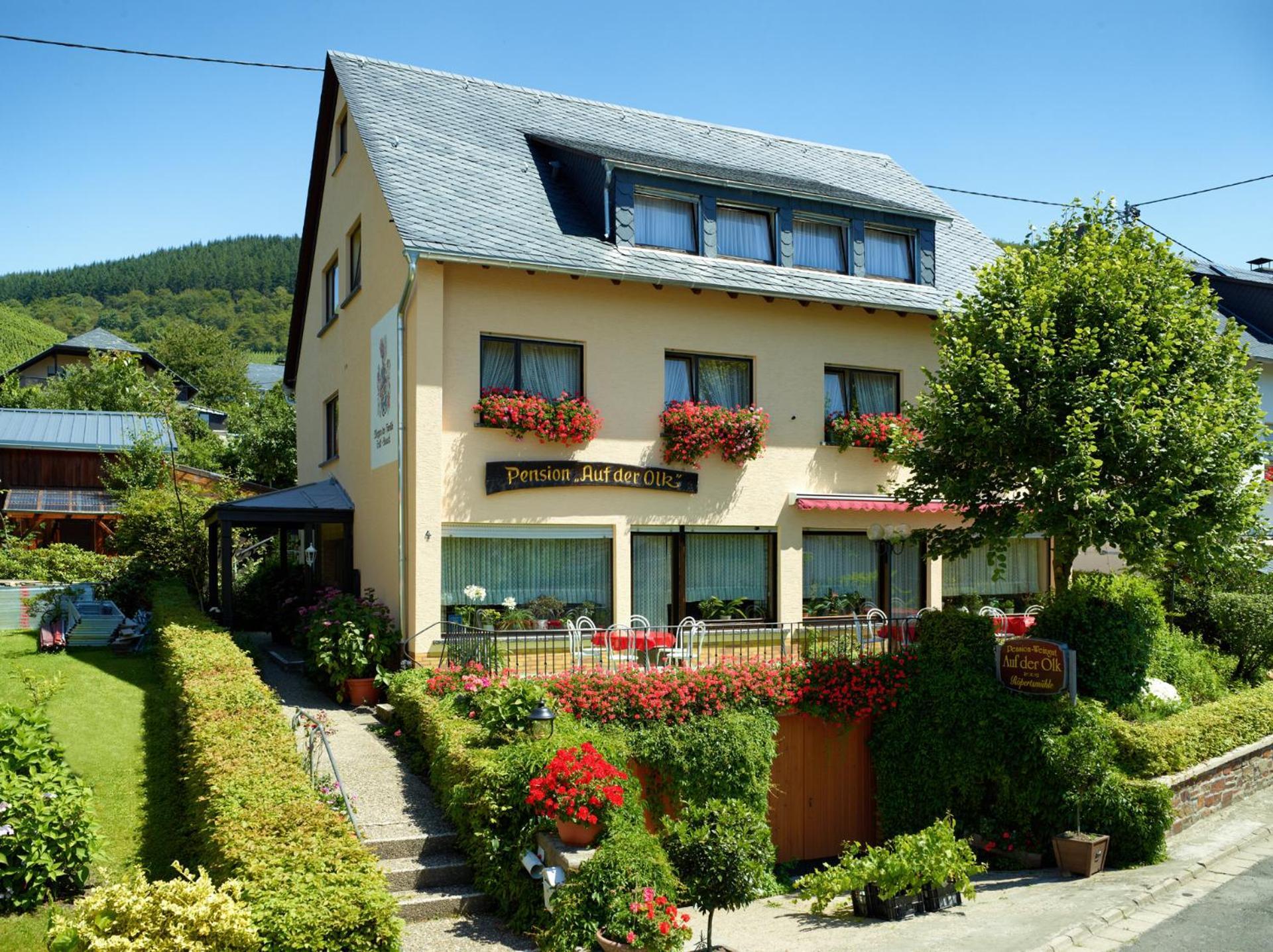 Pension Auf Der Olk Mit Roepertsmuehle Veldenz Zewnętrze zdjęcie