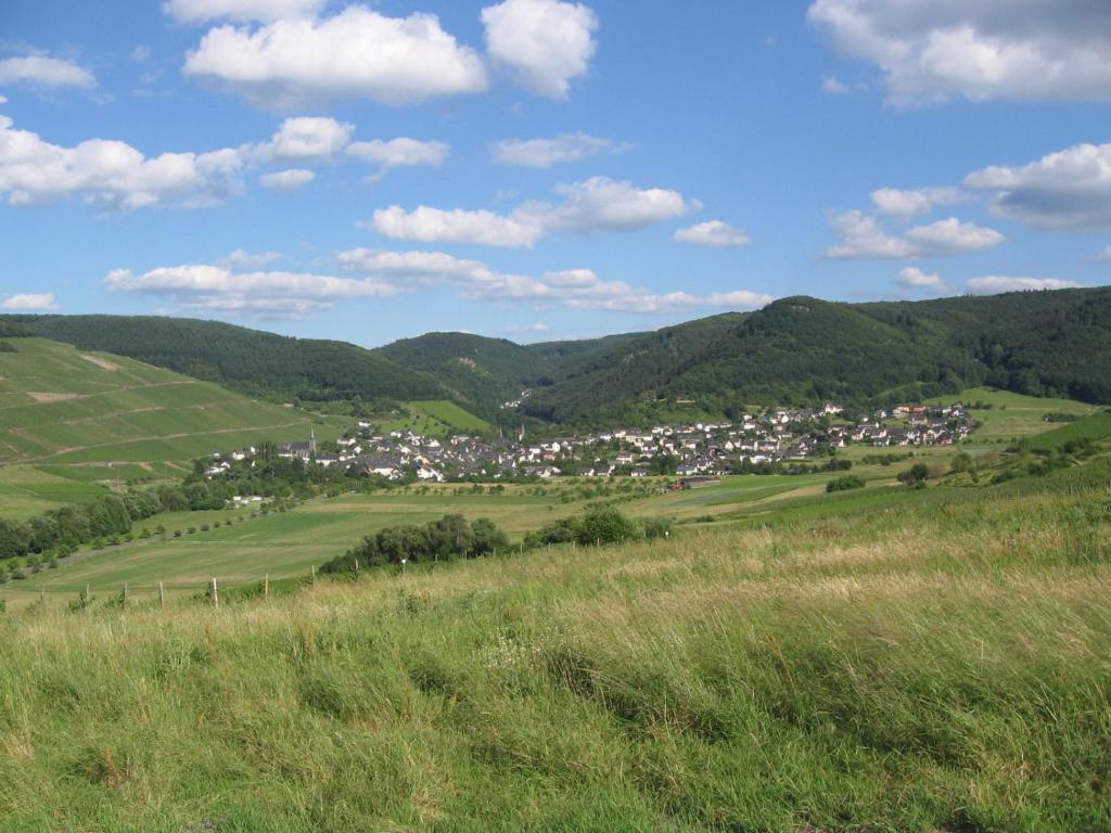 Pension Auf Der Olk Mit Roepertsmuehle Veldenz Zewnętrze zdjęcie