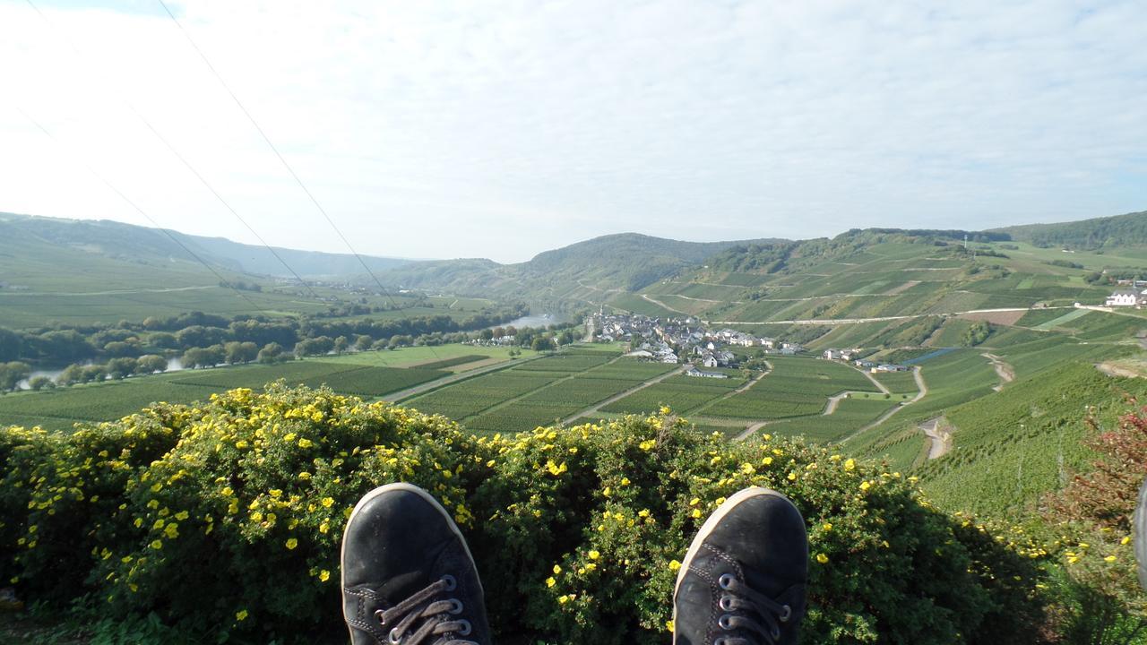 Pension Auf Der Olk Mit Roepertsmuehle Veldenz Zewnętrze zdjęcie