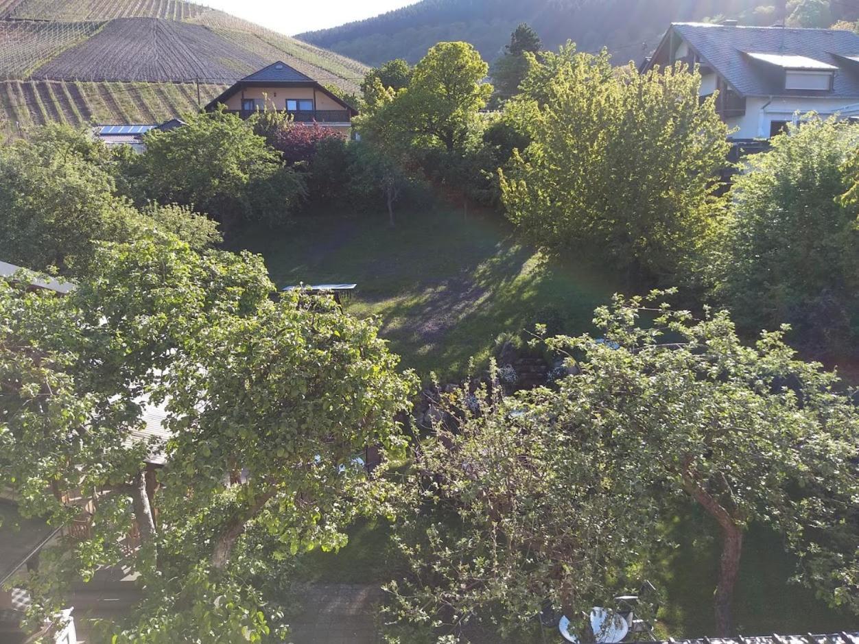 Pension Auf Der Olk Mit Roepertsmuehle Veldenz Zewnętrze zdjęcie